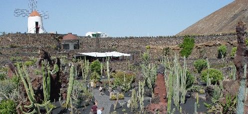 El Cabildo tramita la declaración del Jardín de Cactus como Bien de Interés Cultural
