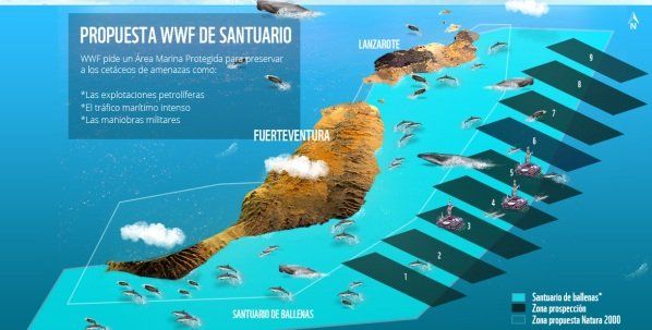 WWF pide a Rajoy que detenga las prospecciones y promueva la creación de un santuario de ballenas y delfines