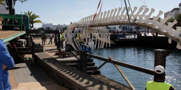 El esqueleto de una ballena de 11 metros "embellece" El Charco de San Ginés