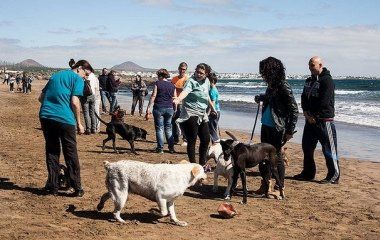 Unas 200 personas con sus animales estrenan la nueva playa para mascotas