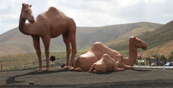 Una familia de camellos "embellece" la rotonda de Uga en reconocimiento a la labor que desarrolló este animal