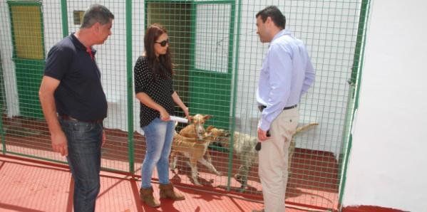 Betancort propone convertir el Centro de Acogida de Animales de Teguise en albergue