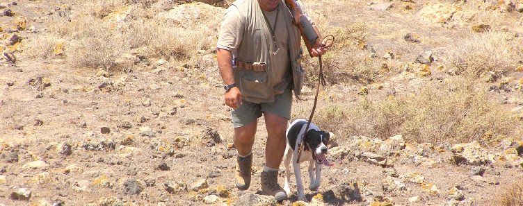 Imagen de archivo de un cazador con un perro