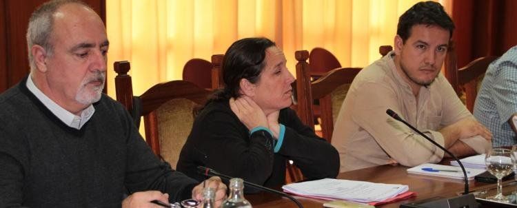 Podemos takes stock of its first year in the Cabildo and reaffirms: "We will not let them sleep"