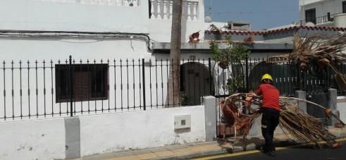 Los bomberos cortan las ramas de una palmera que caían en una casa de Arrecife