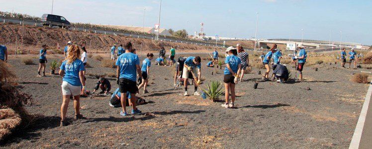 Voluntarios de Ruta 7 limpian y plantan especies autóctonas en un "degradado" solar de Argana