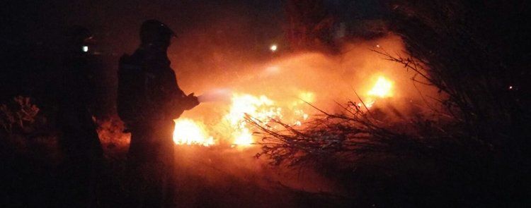 Los bomberos sofocan un incendio en palmeras y rastrojos en Costa Teguise