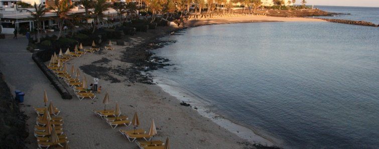 El PSOE pide explicaciones sobre el "descontrol" del servicio de hamacas en Playa Flamingo