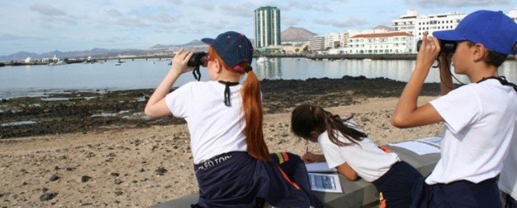Los escolares de Arrecife se acercan a las aves y la fauna del litoral