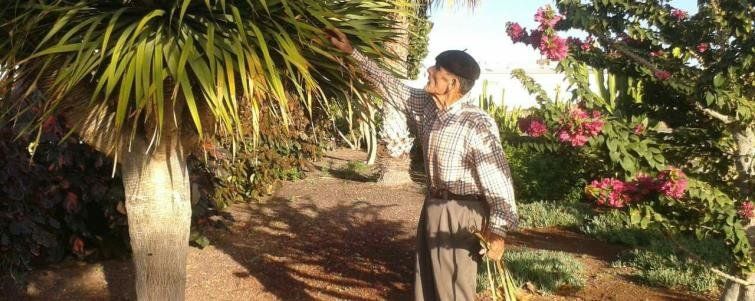 El triste adiós del jardinero de las maretas" de Arrecife