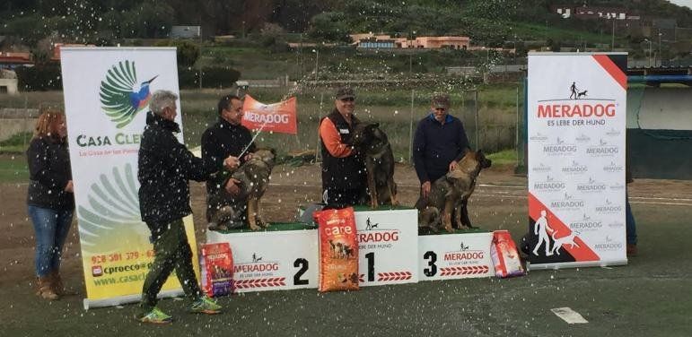 El lanzaroteño Alejandro Morín, campeón de Canarias de Adiestramiento del Perro Pastor Alemán