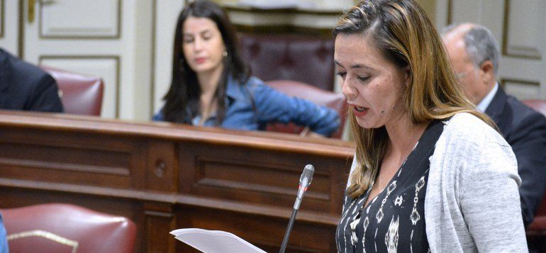 El PSOE denuncia en el Parlamento el cambalache del Gobierno con el Plan de La Geria