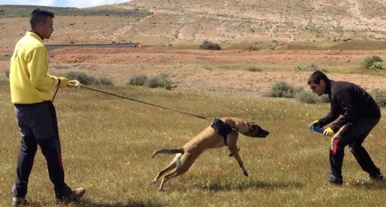 Emerlan incorpora cuatro perros a su unidad de rescate canino