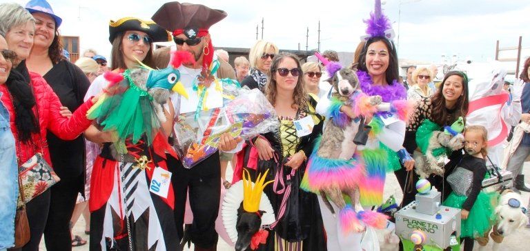 Una veintena de mascotas y decenas de espectadores participan del Carnaval Canino de Playa Blanca