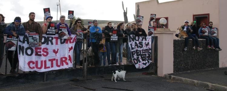 Denuncian a la gallera de Teguise por celebrar peleas en una posible instalación ilegal