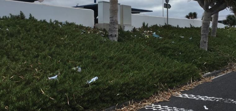 Denuncian el estado de abandono y suciedad de los jardines y exteriores del aeropuerto