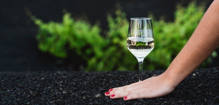 Ocho vinos de Lanzarote, seleccionados para el Salón Guía Peñín de los Mejores Vinos de España