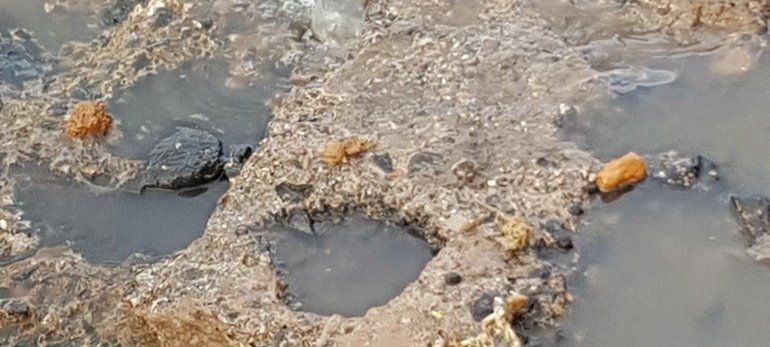Playa Honda sufre un vertido fecal al "sobrecargarse" la red por las lluvias