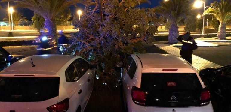 Cae un árbol sobre un coche estacionado en Playa Blanca