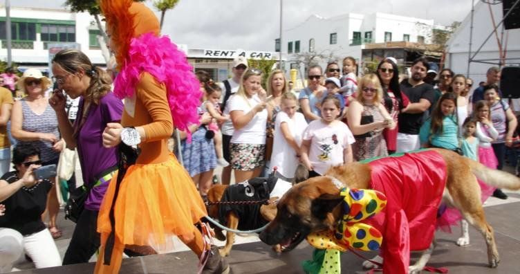 Fiesta y sensibilización en el Carnaval Canino de Playa Blanca