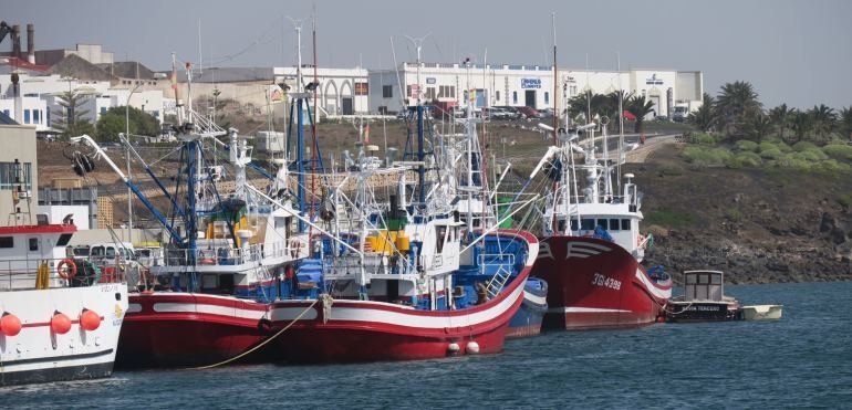 El sector pesquero de Lanzarote facturó 5,7 millones en 2017, con un aumento del 24%