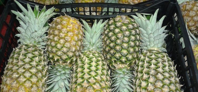 El Gobierno canario advierte de la entrada de fruta ilegal en Lanzarote, Fuerteventura y La Palma