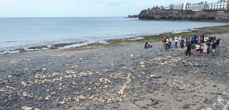 'Junt@s Somos Biosfera' actúa en la playa de Las Coloradas y advierte del daño que causa construir figuras con piedras