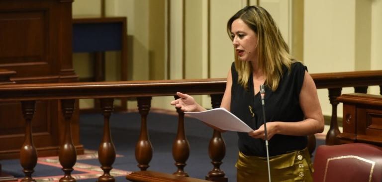 El PSOE exige a la consejera de Vivienda mayor implicación en la regulación del alquiler vacacional