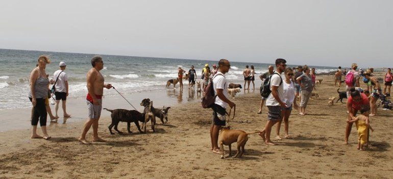 San Bartolomé niega que la Policía esté acosando en la playa para perros y afirma que hay conflictos