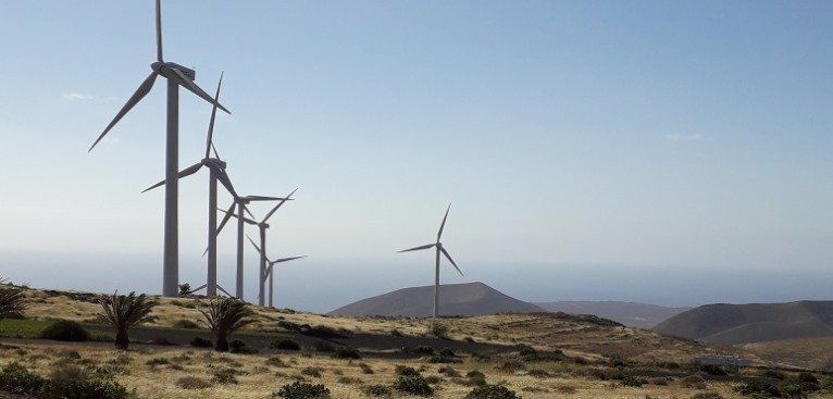 El parque eólico de Los Valles produjo en el semestre 13.349 MWH
