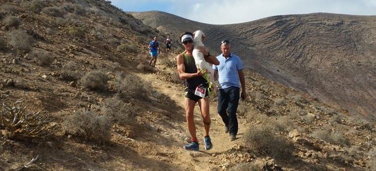 Un participante en la Tinajo You Trail se paró en el recorrido para rescatar a un perro "desnutrido"