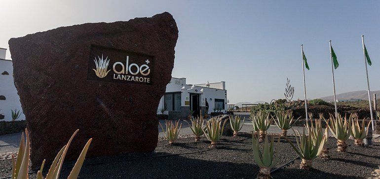 Aloe Plus desmiente al Cabildo y niega estar detrás de la nueva querella contra Pedro San Ginés