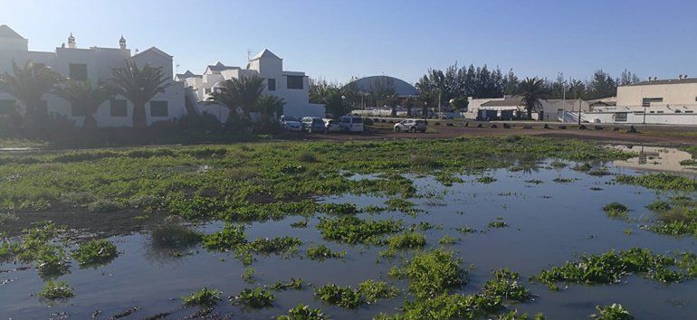 Cs denuncia nuevos vertidos fecales en la zona residencial Marcastel de Playa Blanca