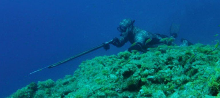 Pescadores submarinos denuncian que el Gobierno canario les margina frente al resto de pesca recreativa