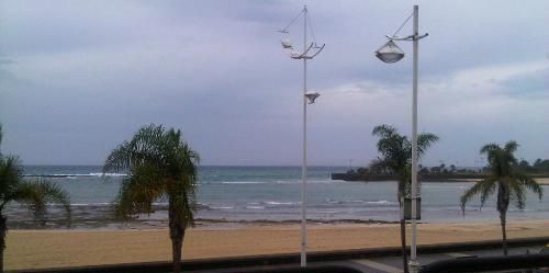 Palm trees moving in the wind in Lanzarote