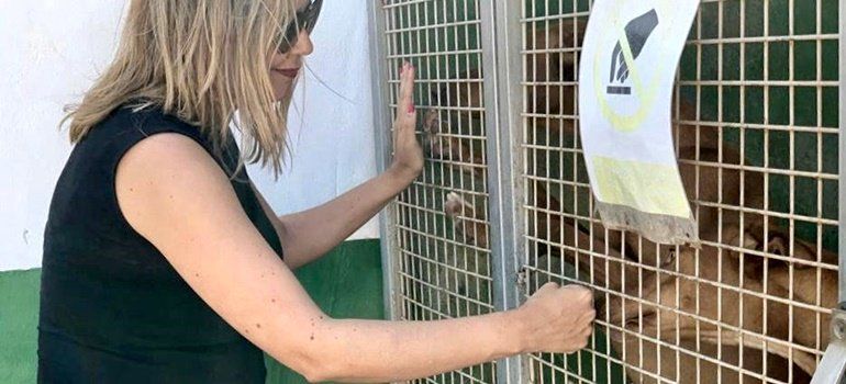 Loli Corujo se compromete "a construir un albergue insular para perros en estado de abandono