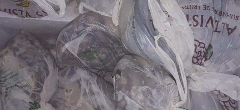 Incautan 29 kilos de pulpo de procedencia ilegal en un restaurante de Arrecife