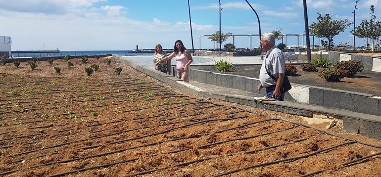 Arrecife pone en marcha trabajos para recuperar los jardines y las zonas verdes del Parque Islas Canarias