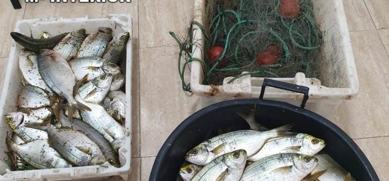 La Guardia Civil denuncia a cuatro personas por pesca ilegal en Lanzarote 
