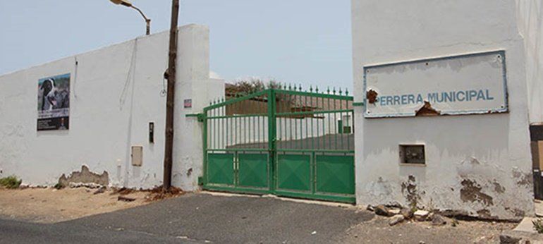 Nace una plataforma ciudadana por la perrera de Arrecife, que tachan de "campo de concentración"