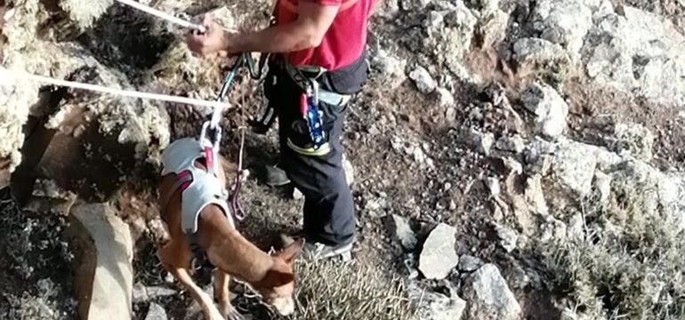 Los bomberos rescatan a un perro en el Risco de Famara