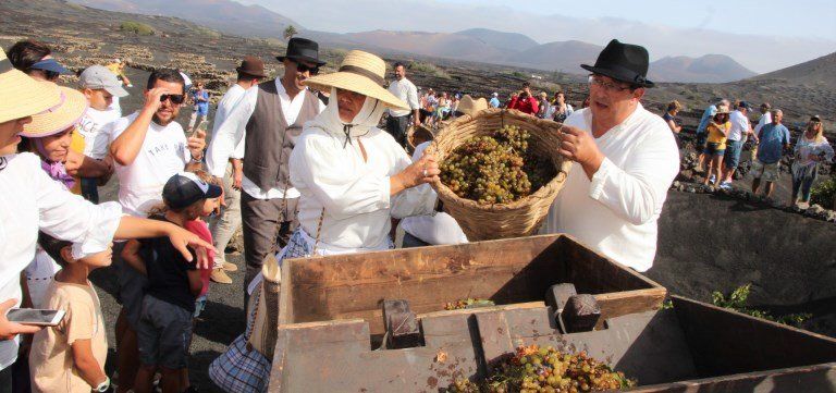 La vendimia tradicional reúne a más de un millar de visitantes en La Geria