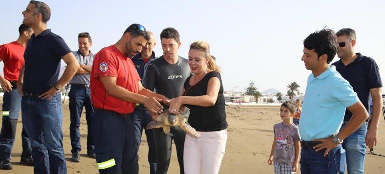 El Cabildo libera a una tortuga que fue rescatada y atendida por el Servicio de Recuperación