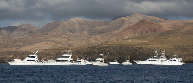 El XVII Torneo de Pesca de Altura de Puerto Calero se celebrará del 12 al 14 de septiembre