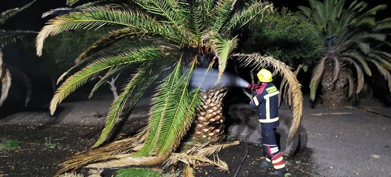 Los bomberos sofocan un incendio en una palmera en Puerto Calero