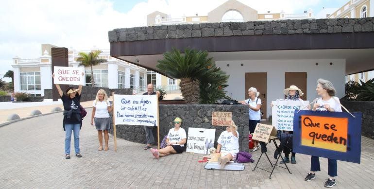 Ocho personas se concentran frente al Cabildo en defensa de los caballos de deCaires