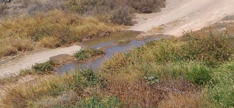 Cs urge a solucionar "de una vez por todas" los "constantes vertidos de aguas fecales" en Playa Blanca