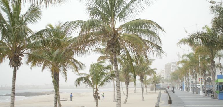 Activados avisos amarillos por calima y viento para este sábado de Carnaval