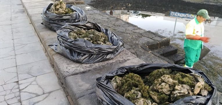 Arrecife limpia el interior de El Charco "ante la enorme proliferación de toallitas y compresas"