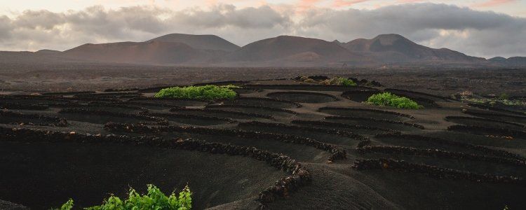 Los habitantes de Lanzarote graban en vídeo su futuro